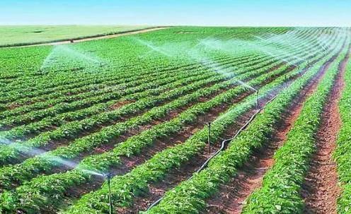 抠逼射精视频农田高 效节水灌溉